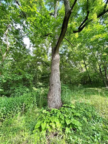 $174,900 | 3116 County Road 5615, Bunker, MO 63629