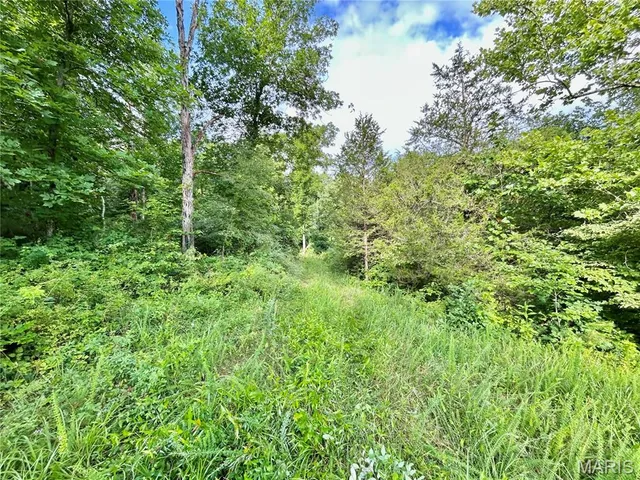 $174,900 | 3116 County Road 5615, Bunker, MO 63629