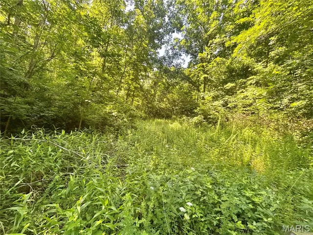 $174,900 | 3116 County Road 5615, Bunker, MO 63629