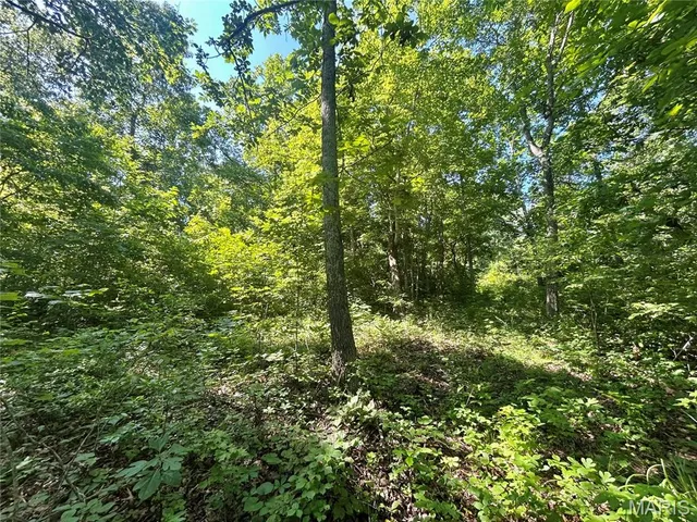 $174,900 | 3116 County Road 5615, Bunker, MO 63629