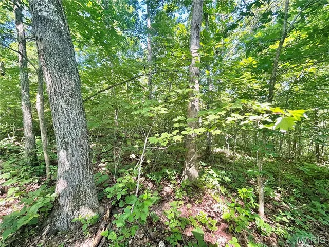 $174,900 | 3116 County Road 5615, Bunker, MO 63629