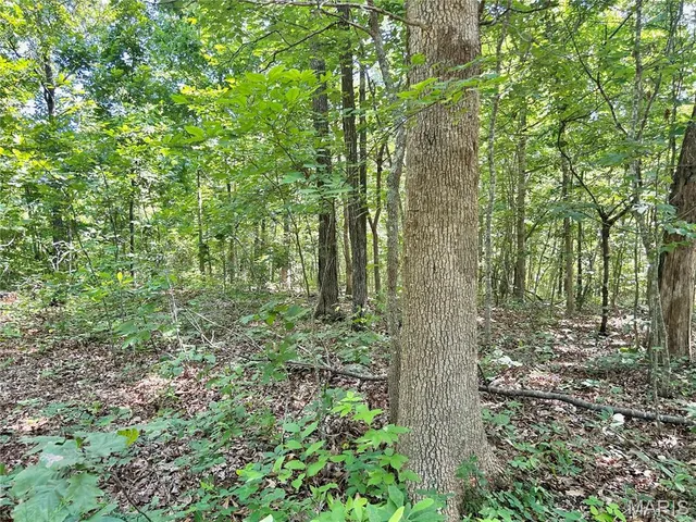 $174,900 | 3116 County Road 5615, Bunker, MO 63629