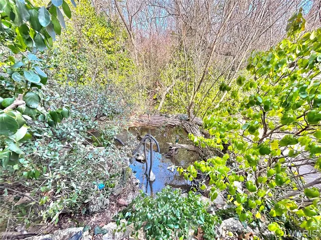 $159,900 | 15303 Highway 32, Salem, MO 65560