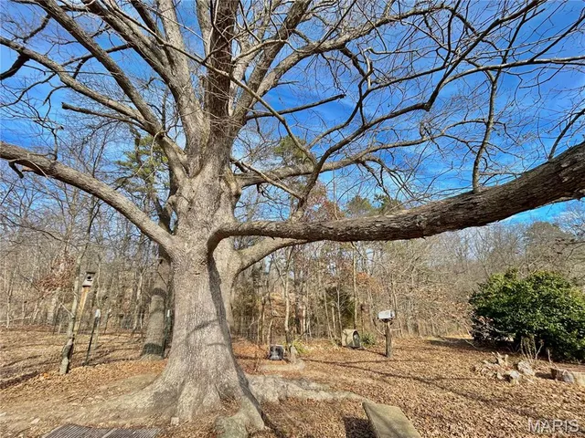 $159,900 | 15303 Highway 32, Salem, MO 65560