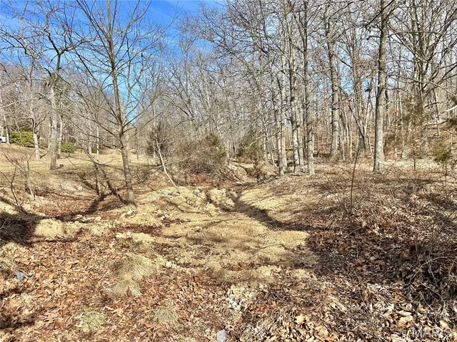 $159,900 | 15303 Highway 32, Salem, MO 65560