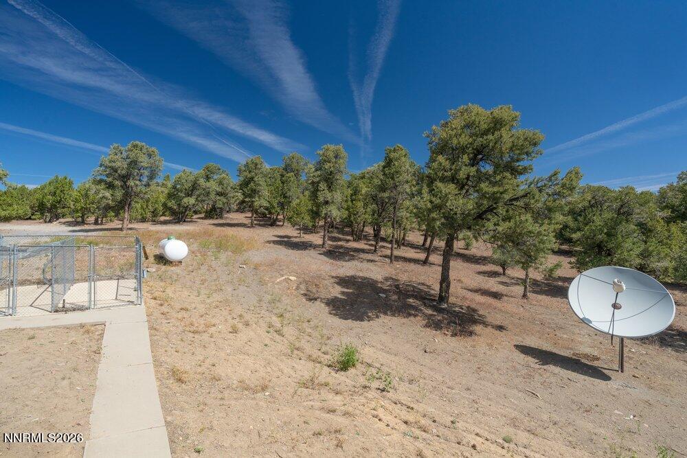 1790 Combination Road Reno, NV 89521 - Photo 40 of 46 view3