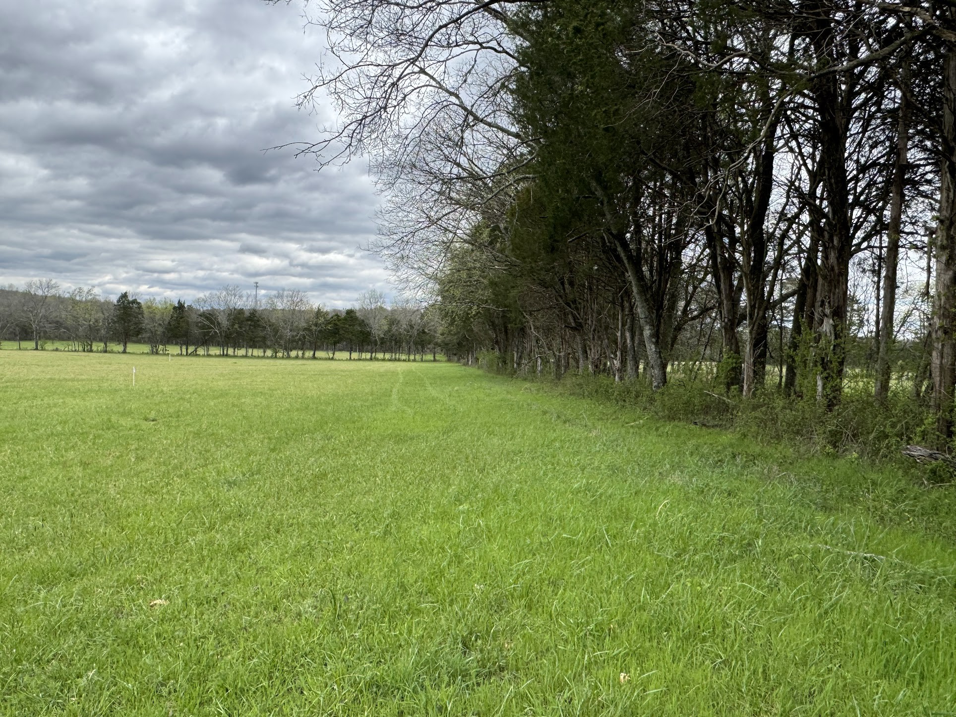 11 Rutledge Ln. Lebanon, TN 37087 - Photo 3 of 6 Gallery Image 3