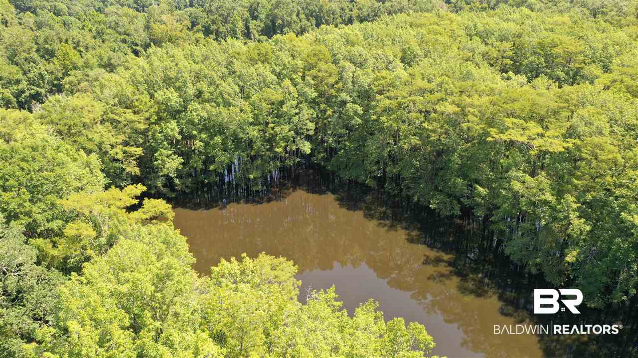 0 Highway 4 Jay, FL 32565 - Photo 40 of 50