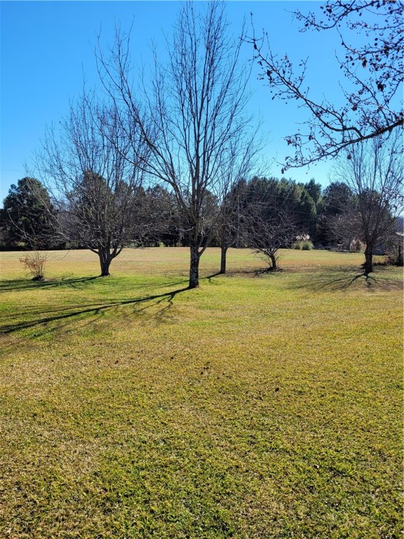 119 Wyatt Pruitt Road Honea Path, SC 29654 - Photo 17 of 18