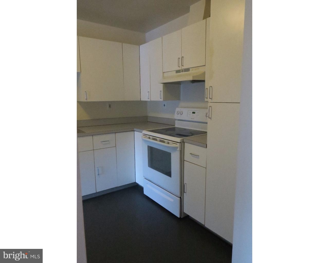 3 North Christopher Columbus Boulevard, Unit 405 Philadelphia, PA 19106 - Photo 4 of 20 a kitchen with a stove and a sink