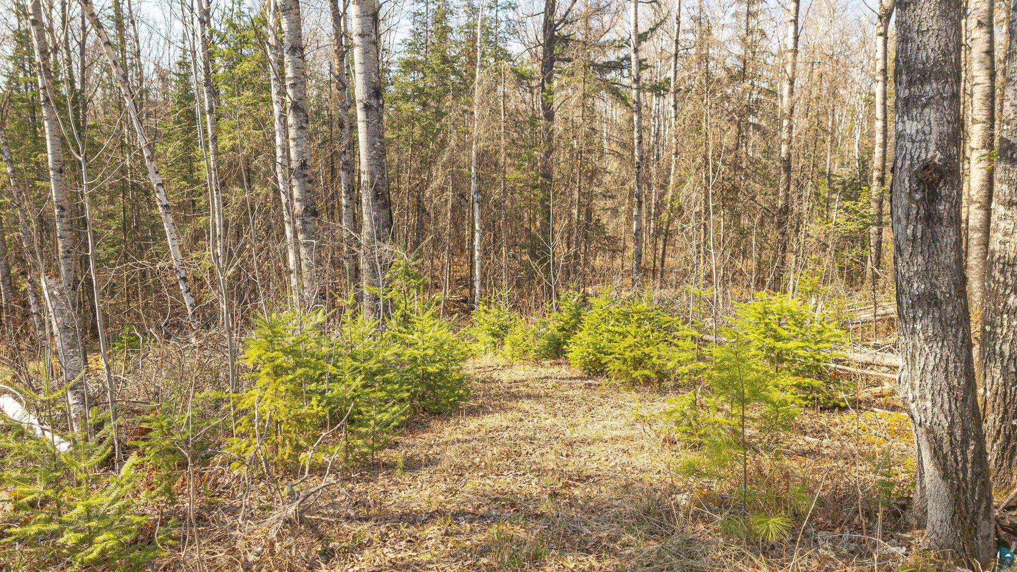 740 Halfway Road Ely, MN 55731 - Photo 41 of 45 Gallery Image 41