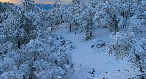 a view of a dry yard with wooden fence