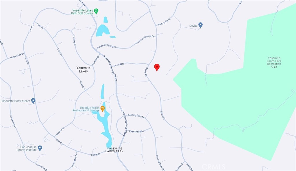 0 Revis Road Coarsegold, CA 93614 - Photo 11 of 18 a white vase with flowers on it