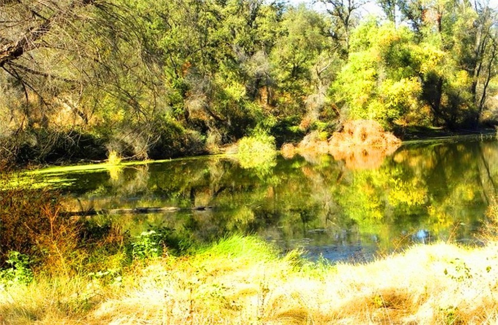 0 Revis Road Coarsegold, CA 93614 - Photo 12 of 18 a view of swimming pool from a yard