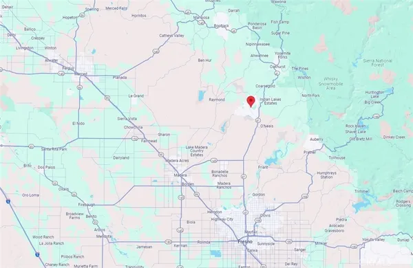 a view of a park with a tree