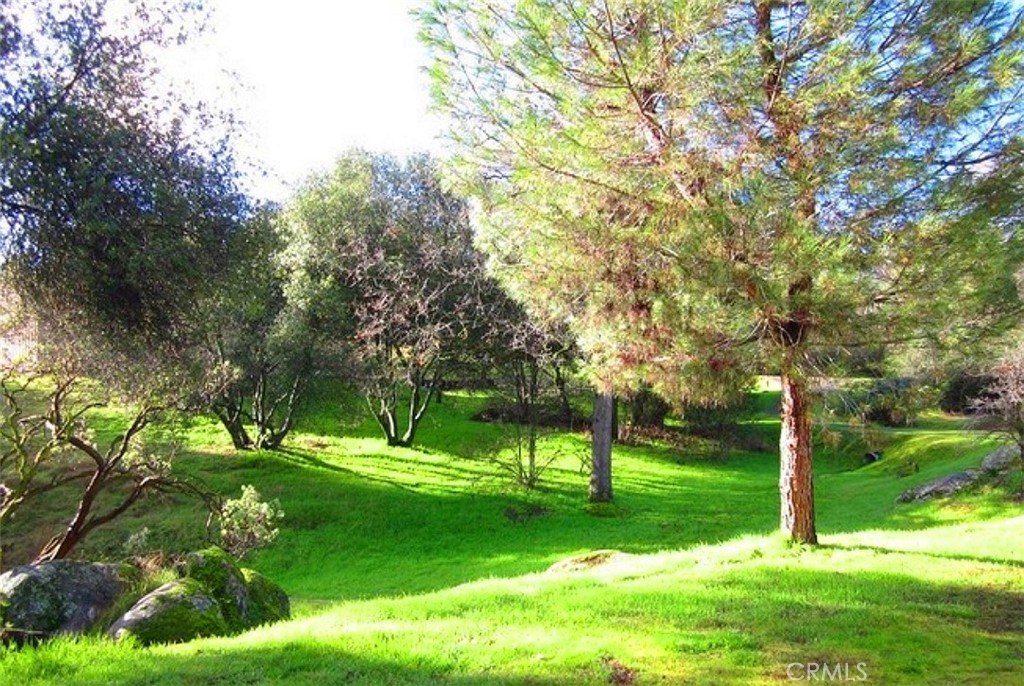 0 Revis Road Coarsegold, CA 93614 - Photo 10 of 18 a view of a park with a tree