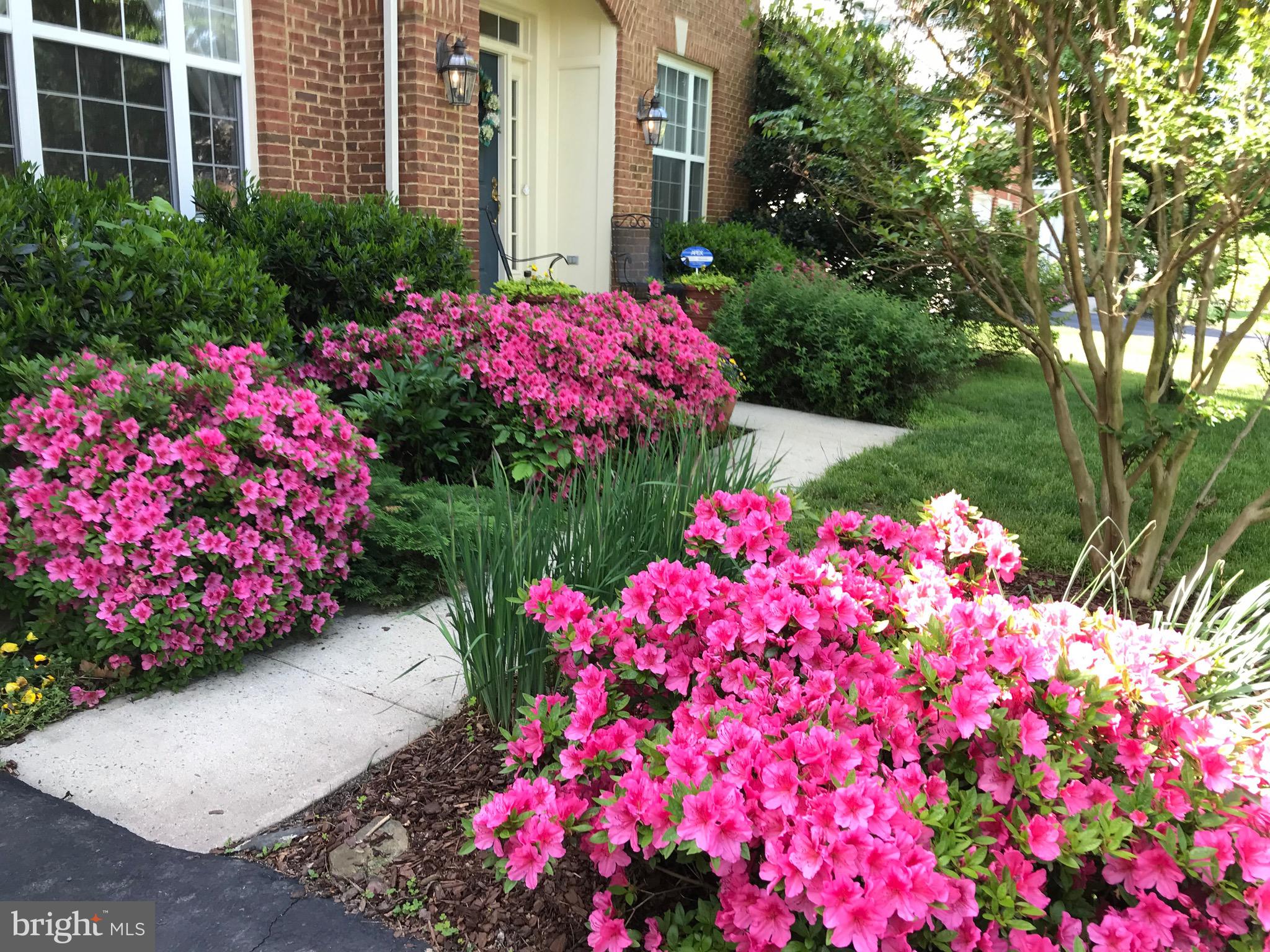 25784 Spectacular Run Place Chantilly, VA 20152 - Photo 3 of 74