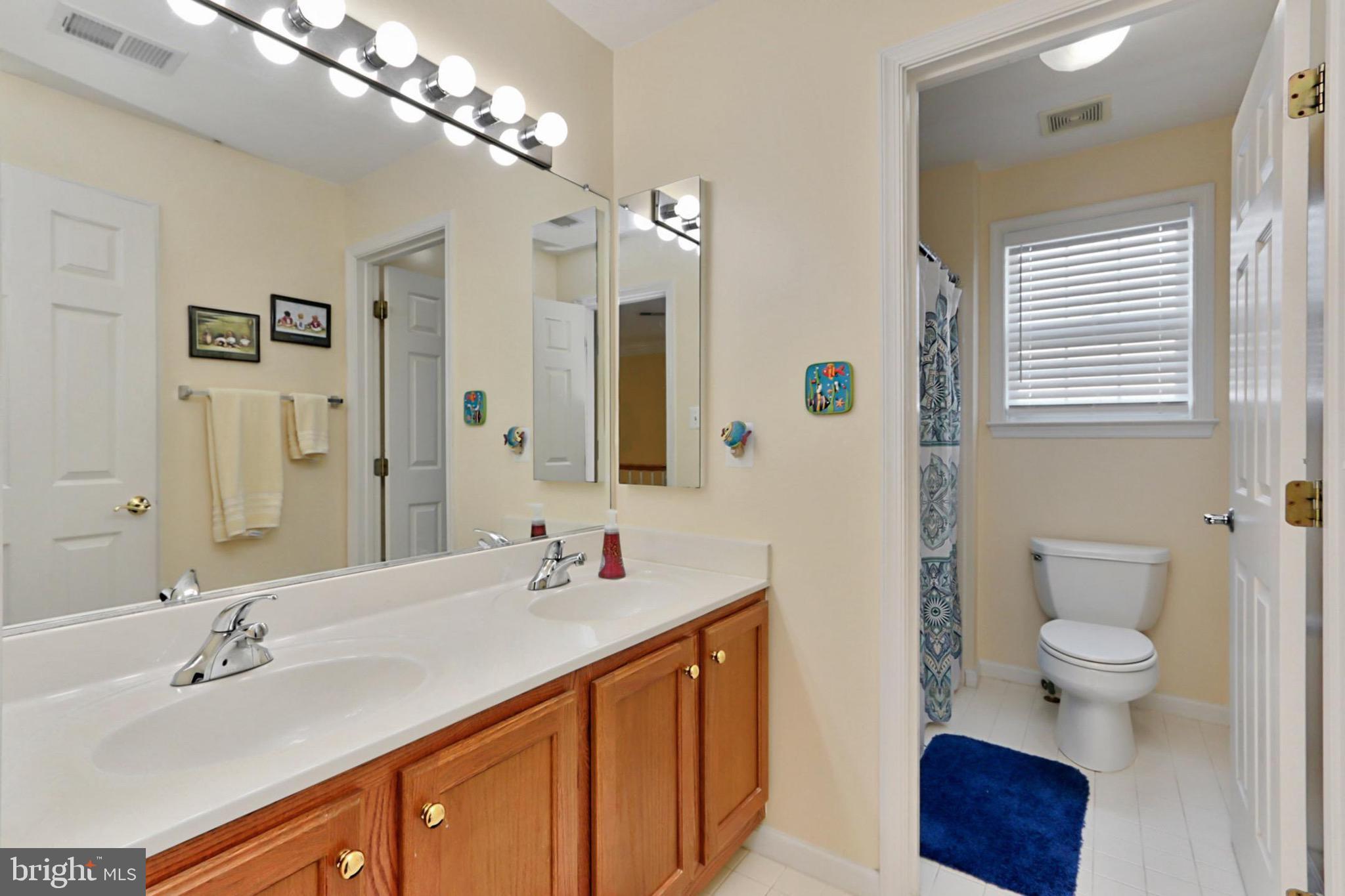 25784 Spectacular Run Place Chantilly, VA 20152 - Photo 48 of 74