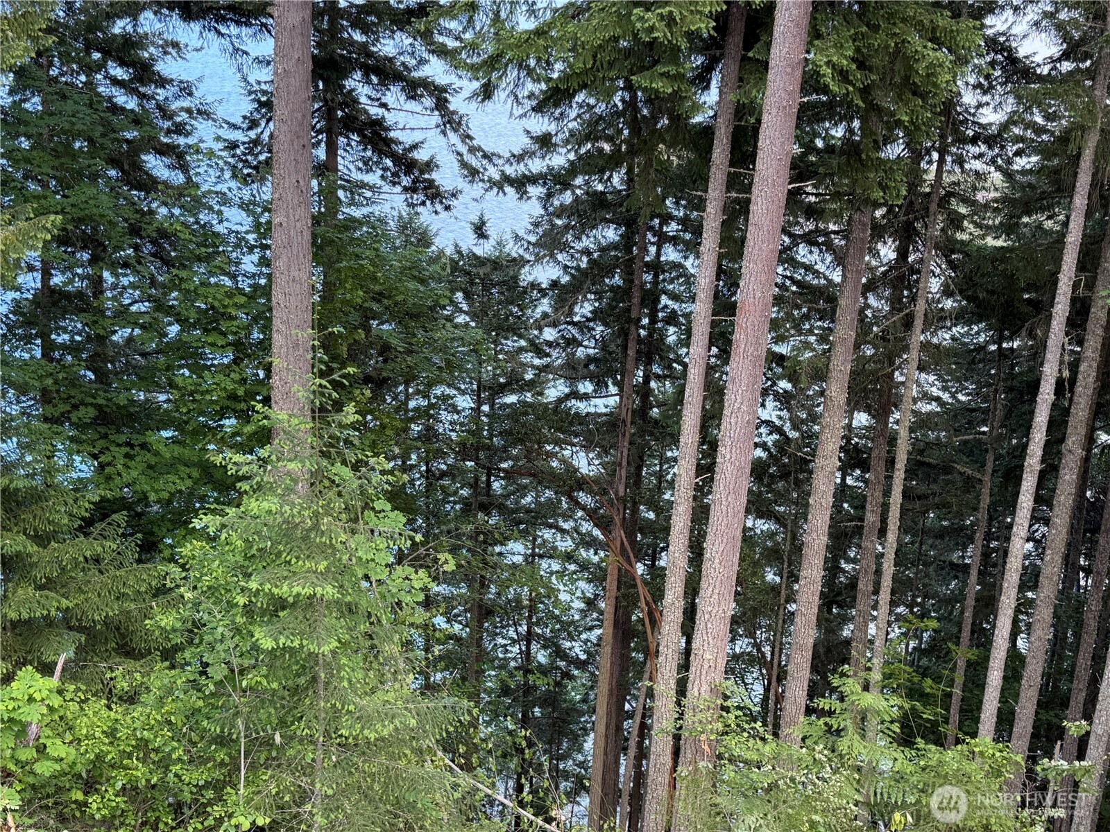 496 Last Camp Road Quilcene, WA 98376 - Photo 9 of 29