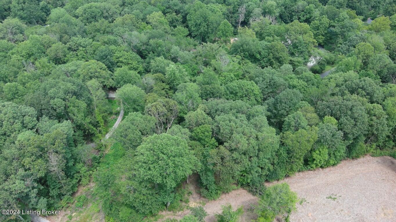 7 Dickeys Mill Road Leitchfield, KY 42754 - Photo 25 of 50 Lot 7 Dickeys Mill Rd-6