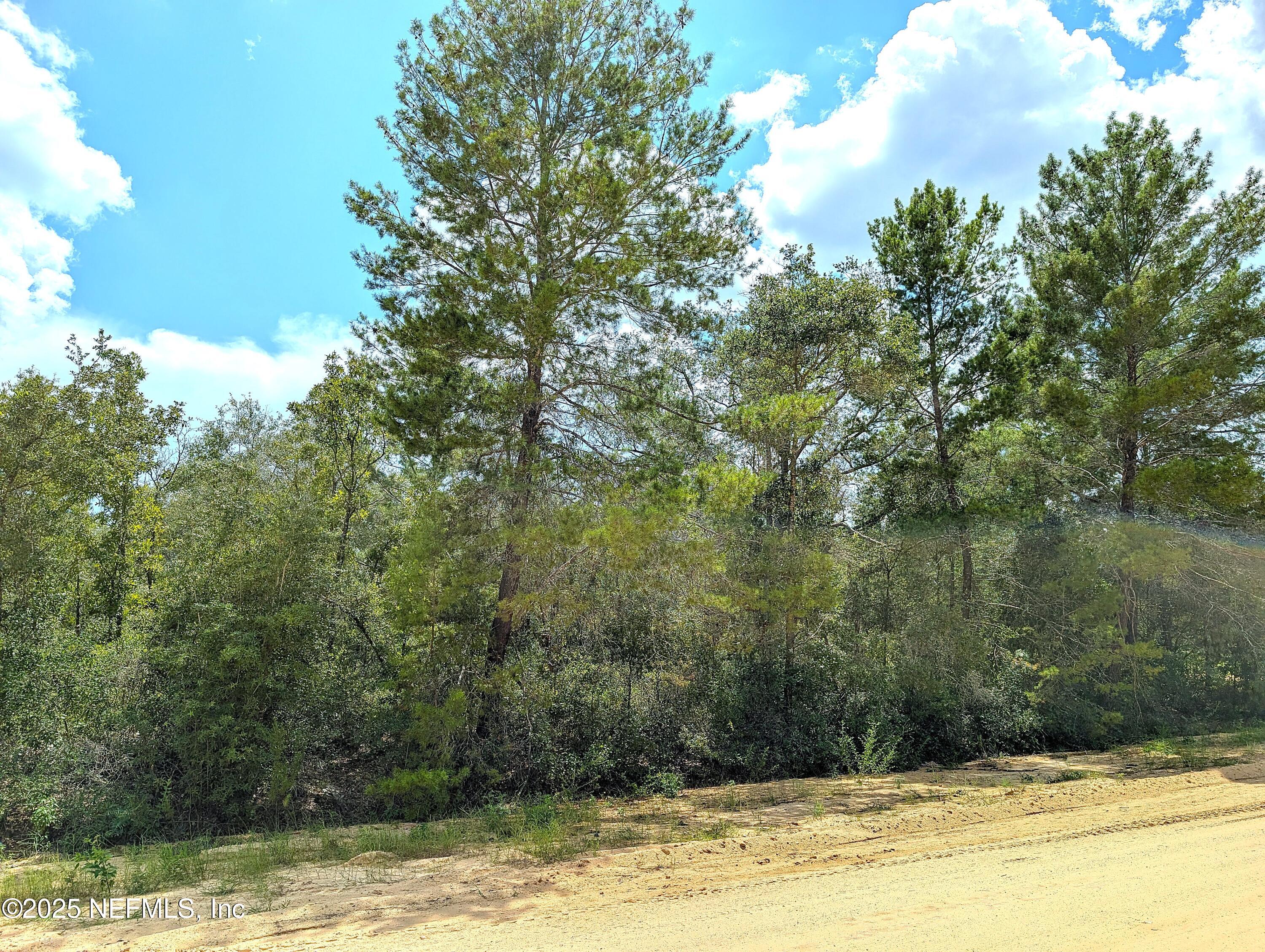 5635 Cherokee Street Keystone Heights, FL 32656 - Photo 3 of 16 Cherrokee St side