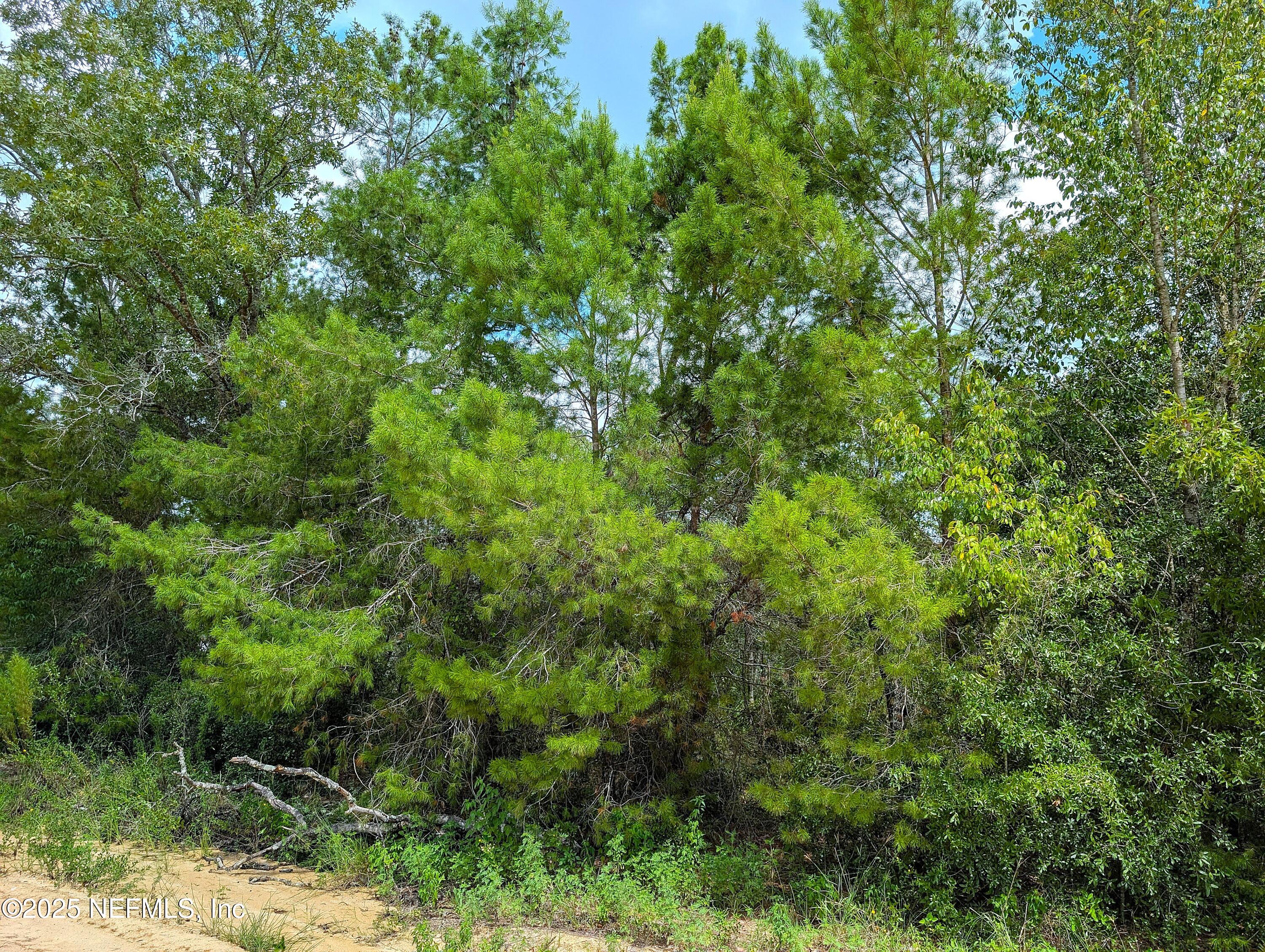 5635 Cherokee Street Keystone Heights, FL 32656 - Photo 4 of 16 Cherrokee St