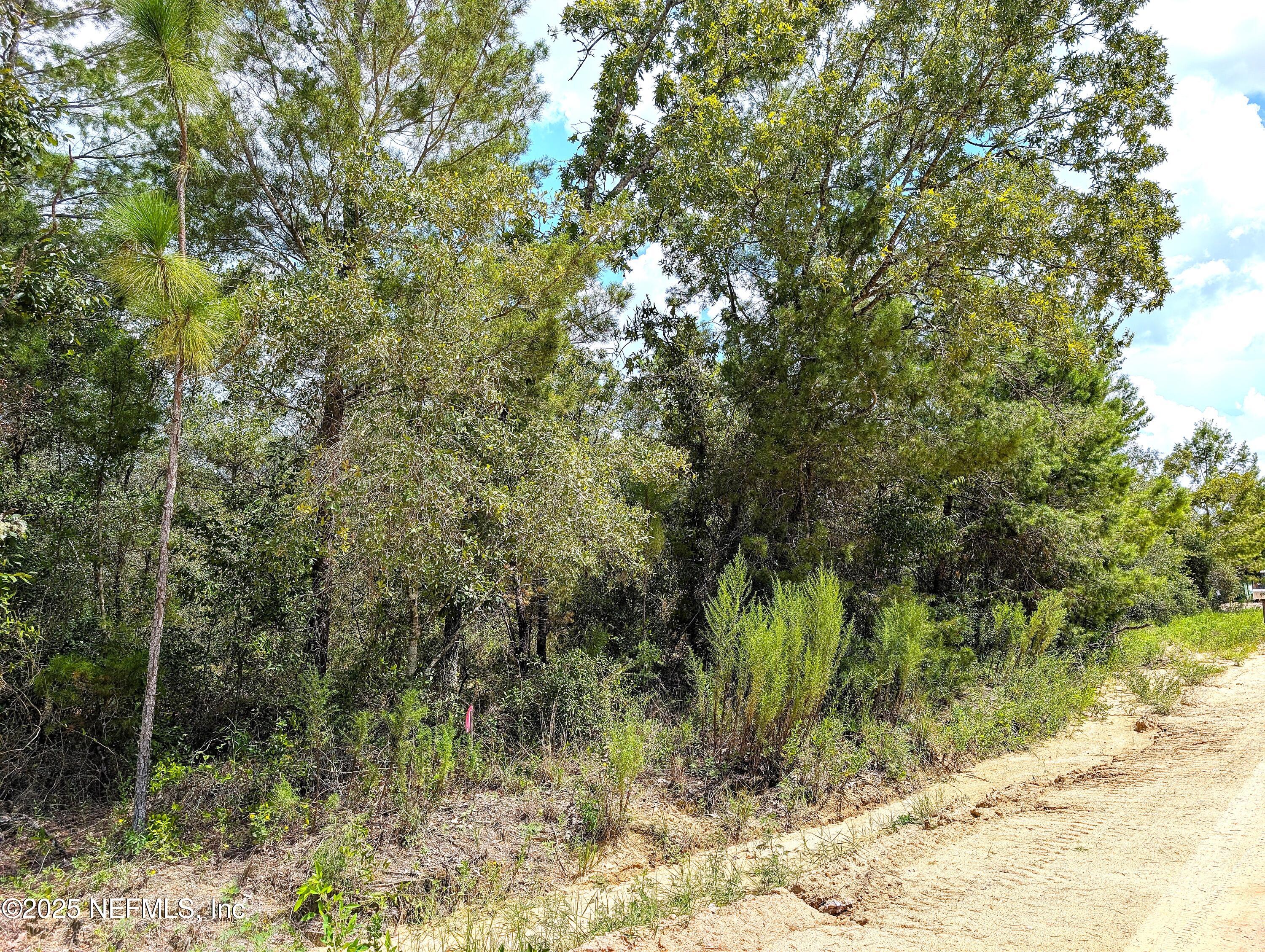 5635 Cherokee Street Keystone Heights, FL 32656 - Photo 6 of 16 ElDorado side