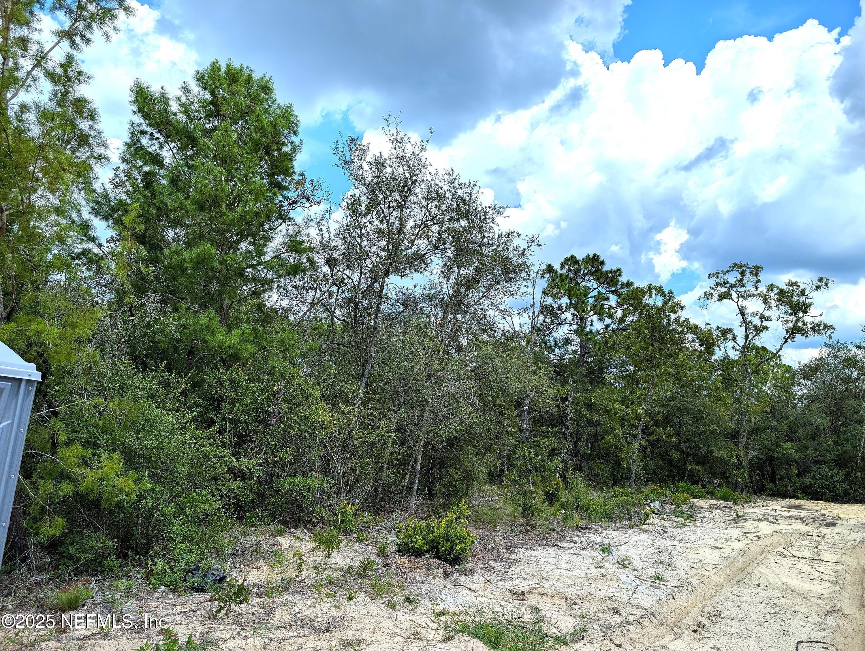 5635 Cherokee Street Keystone Heights, FL 32656 - Photo 7 of 16 View from new home under construction ne
