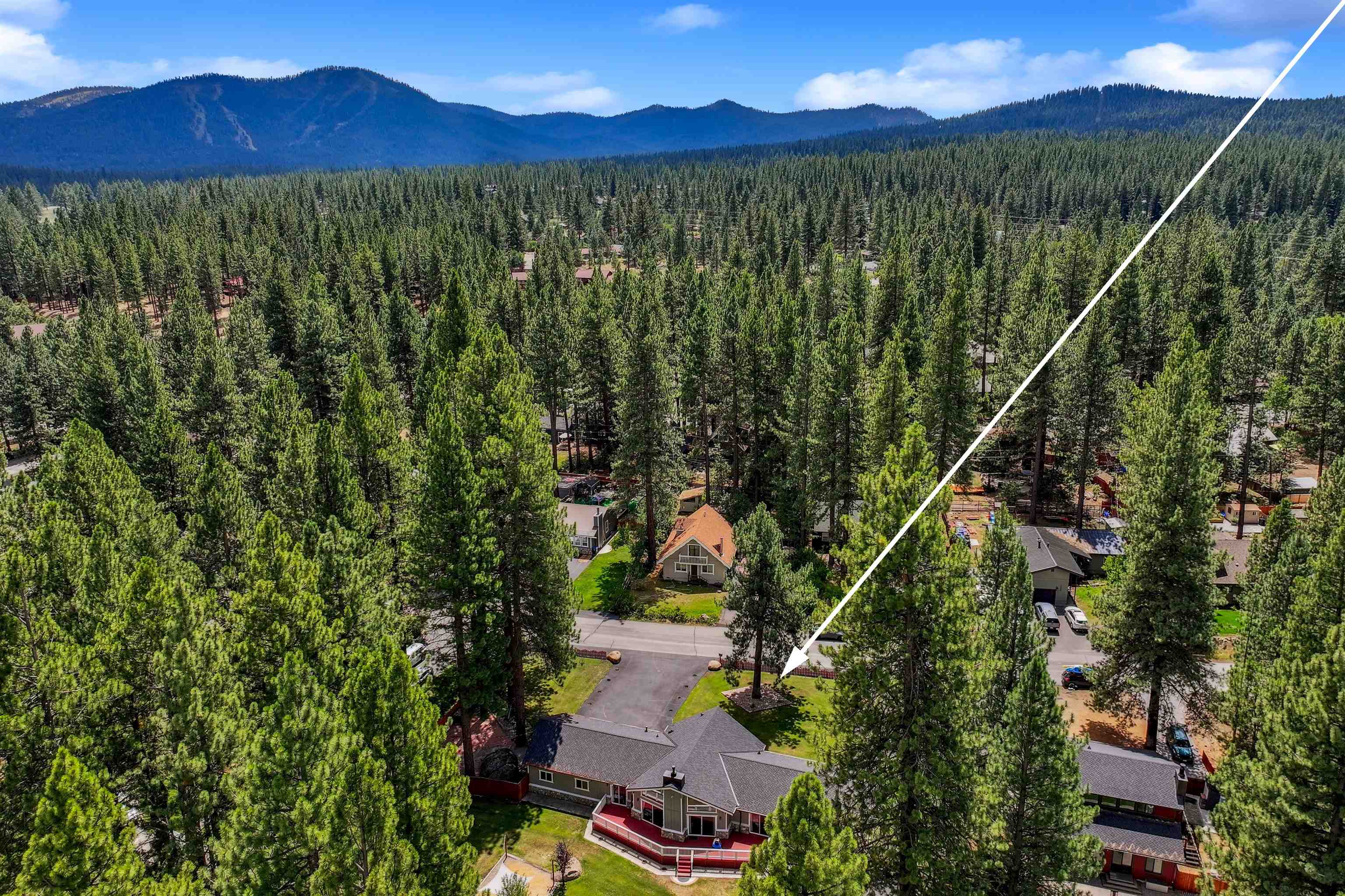 10228 Jeffery Pine Road Truckee, CA 96161 - Photo 7 of 28 a view of a city with lush green forest
