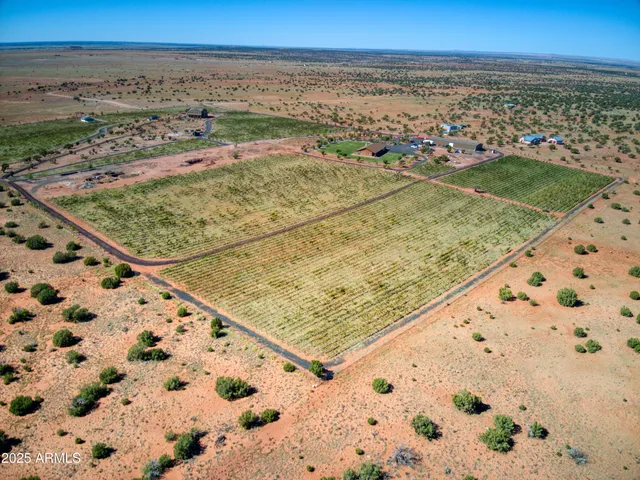 $2,500,000 | 18 N5162, Concho, AZ 85924