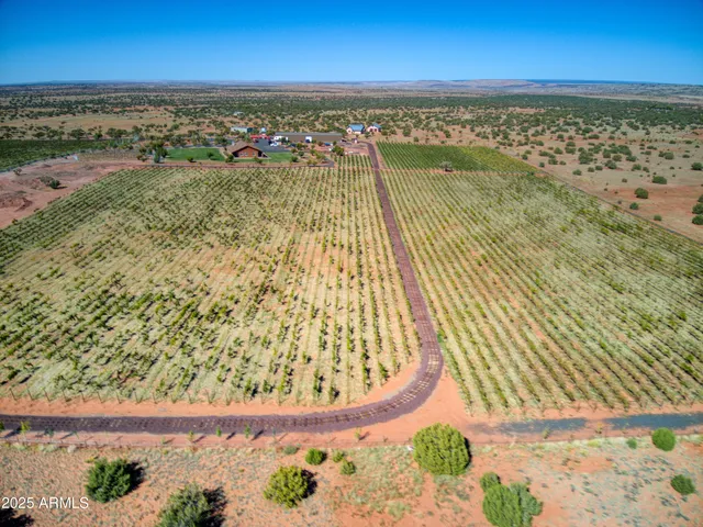 a big yard with lots of green space and fog