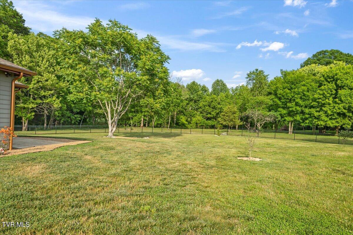 375 Middle Creek Road Afton, TN 37616 - Photo 5 of 119 67-128A1643