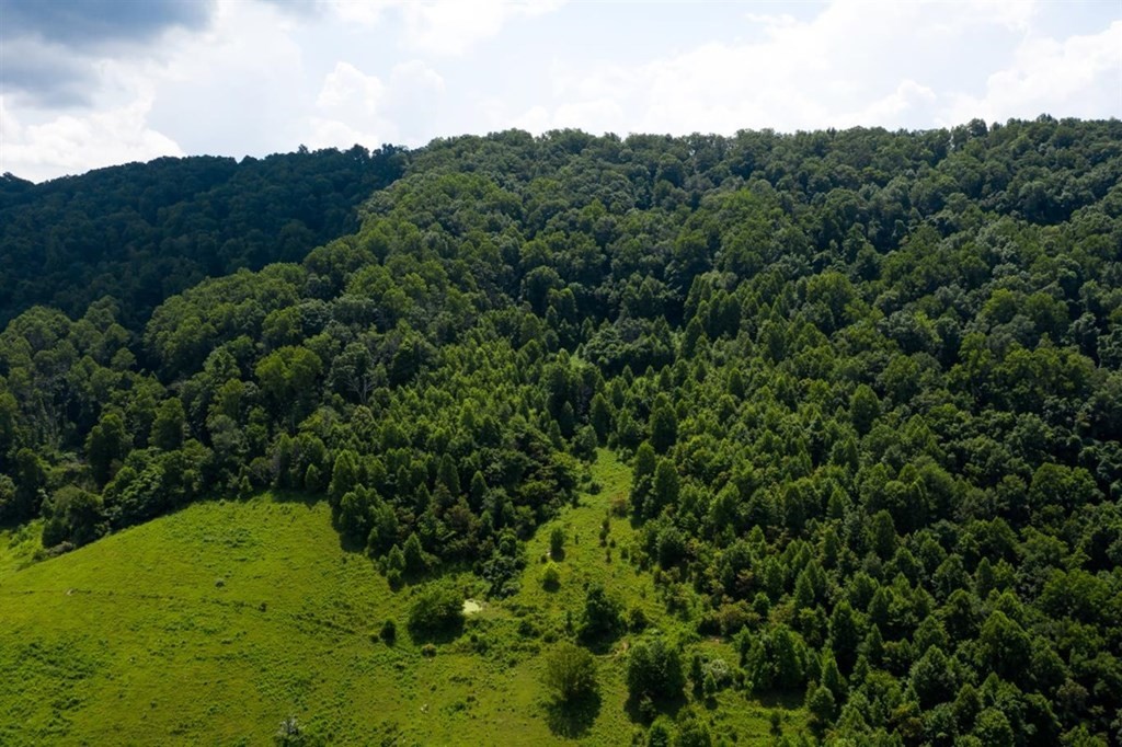 341 Mulberry Gap Road Sneedville, TN 37869 - Photo 41 of 46 Gallery Image 41
