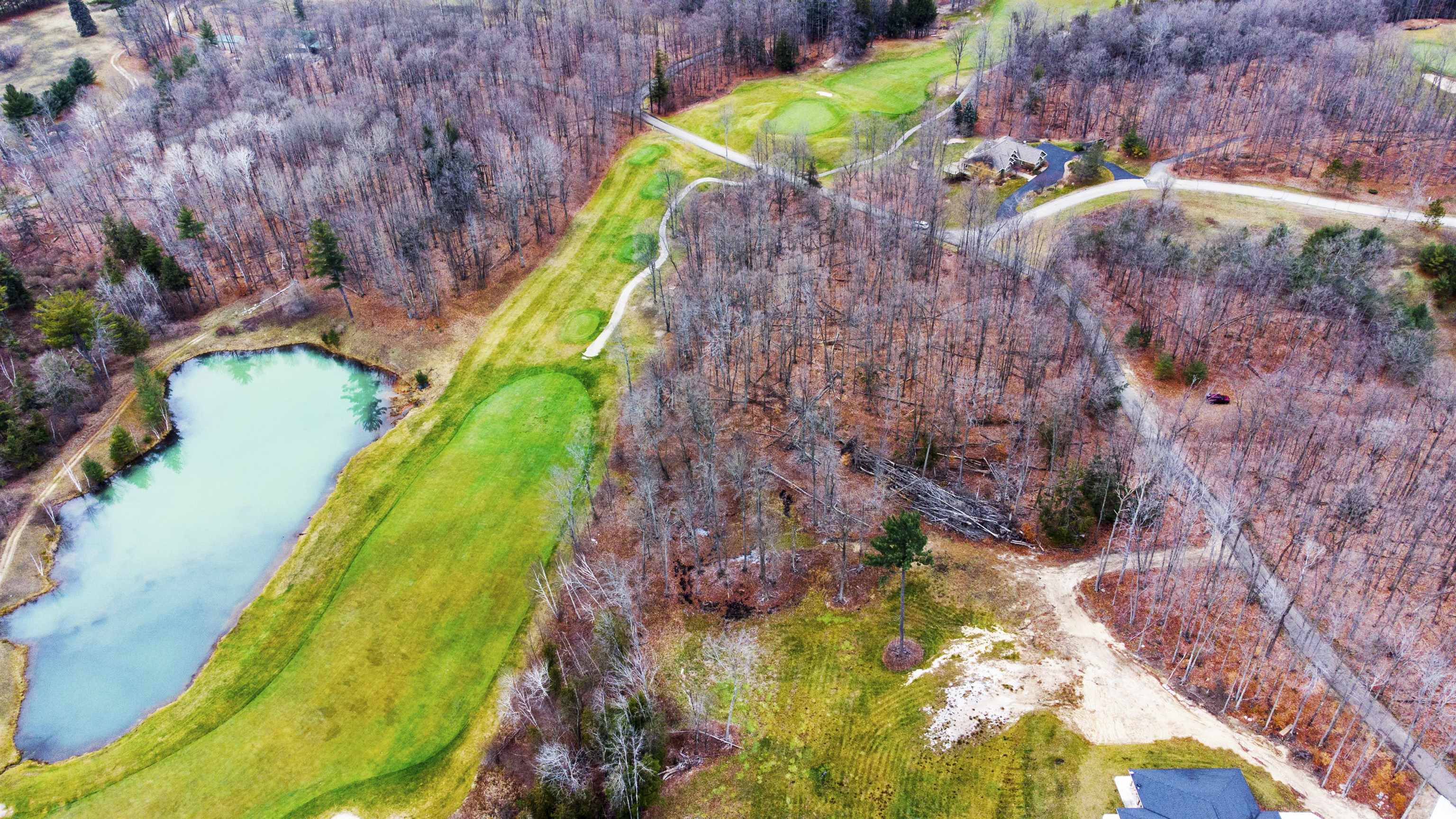 0 Walkers Way Road Bellaire, MI 49615 - Photo 9 of 30