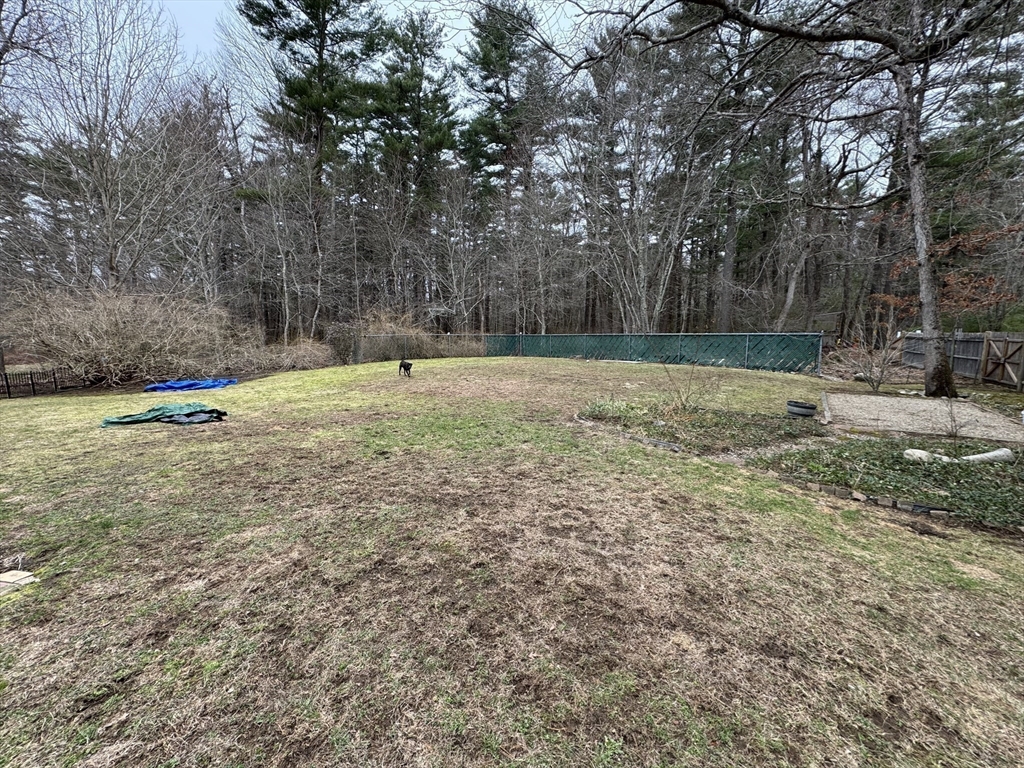 77 Branch Road East Bridgewater, MA 02333 - Photo 5 of 16 a view of a field with trees