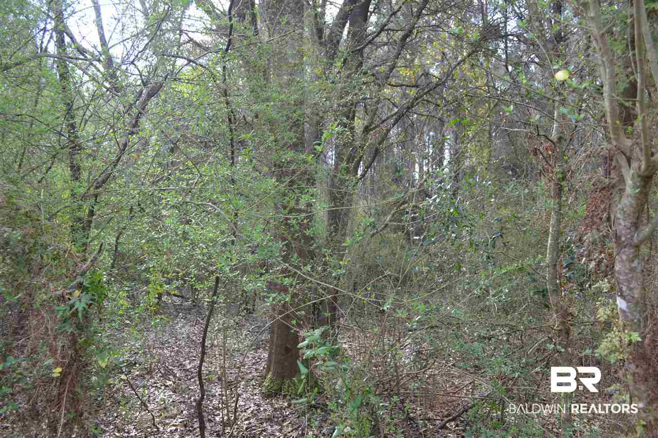 0 Mohr Lane Elberta, AL 36530 - Photo 7 of 15