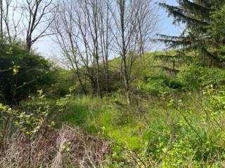 0 Keffer Road Ligonier, PA 15658 - Photo 2 of 12 Gallery Image 2