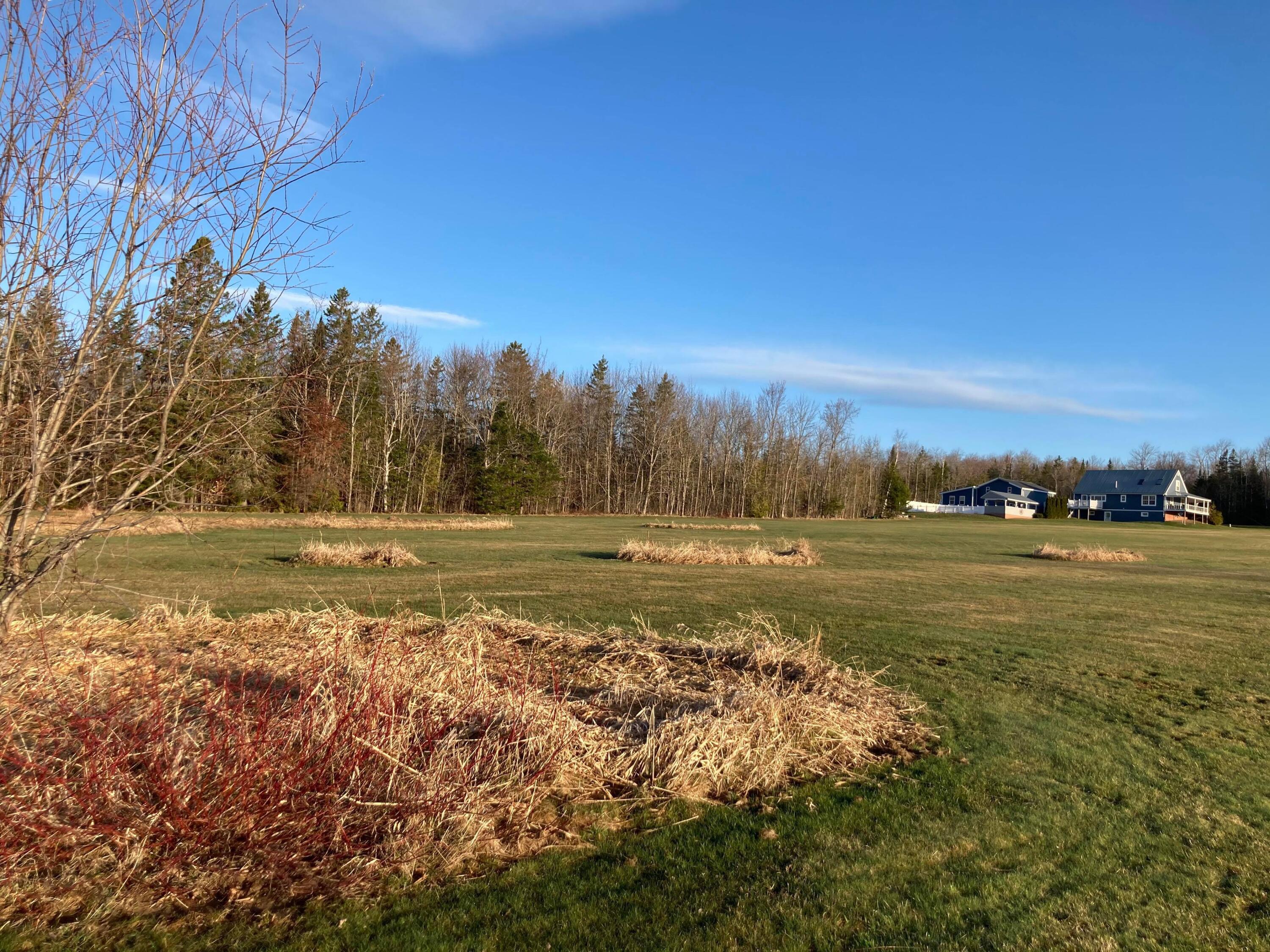 122 Clark Road Patten, ME 04765 - Photo 90 of 101 From Back Field B
