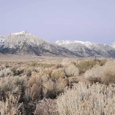 a view of a dry yard with mountains and green field