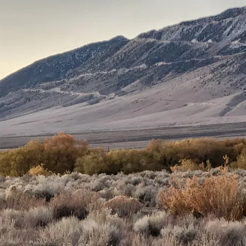 a view of a dry yard with mountains in the background