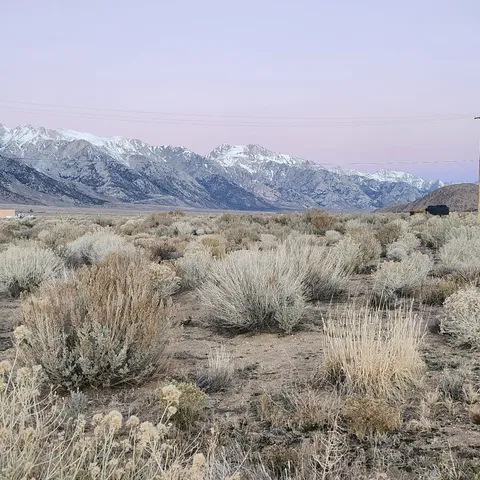 a view of a mountain with a field