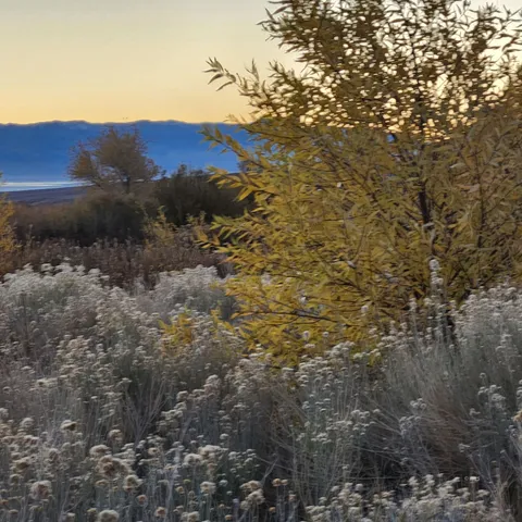 a view of a lake with a mountain in the background