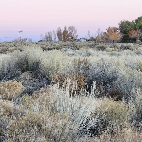 a view of a dry yard with mountains in the background