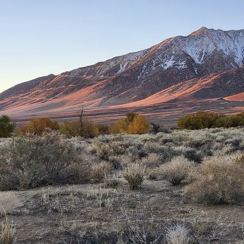 a view of a back yard