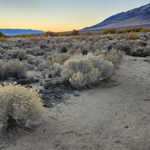 a view of a lush green field