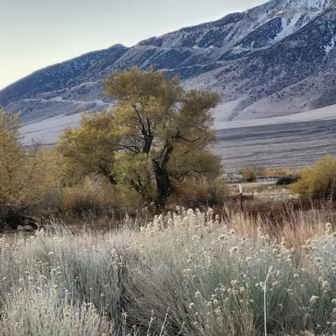 a view of lake with mountain in background