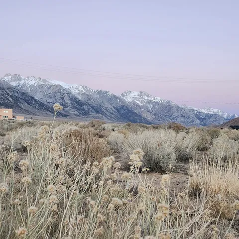 a view of city and mountains in a field