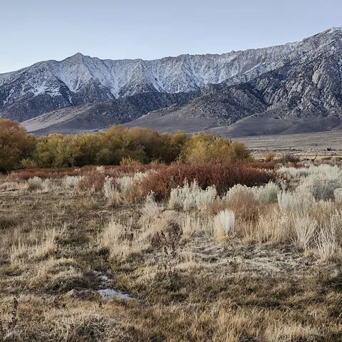 a view of a dry yard with a mountain in the background