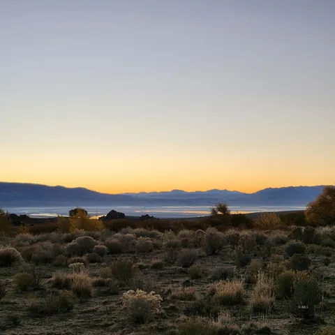 a view of a backyard with wooden fence