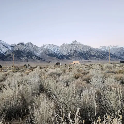 a view of a dry field with trees in background
